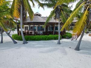 a resort with palm trees in front of a building at Grand Slam Fishing Lodge Tulum in Punta Allen