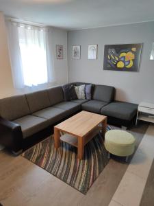 uma sala de estar com um sofá e uma mesa de centro em Epic em Selce