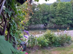 a view of a river from a garden with flowers at Riverside Villa Avo - Apartment AVO in Spodnja Idrija