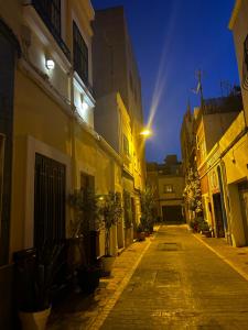 an alley with buildings and potted plants at night at Doña Josefina y Don Simón in Almería