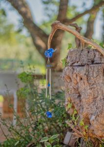 Gallery image of Studio APP Luka-We love nature. in Sveti Ivan