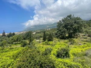 Gallery image of Season Inn in Dhërmi +84 photos