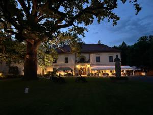 a large white building with a tree in the yard at Zamek Dubiecko in Dubiecko