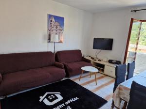 ein Wohnzimmer mit einem Sofa und einem TV in der Unterkunft Apartment Opaćac Veli Iž in Veli Iž