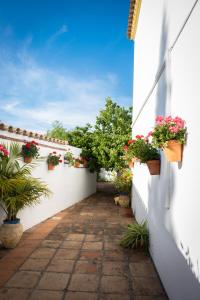 Ogród w obiekcie Apartamentos Turísticos Cabo Roche