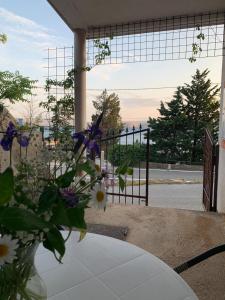 Fotografie z fotogalerie ubytování Apartman Nina v destinaci Karlobag