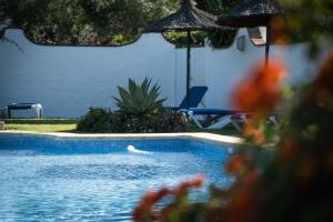 Bazén v ubytovaní Hostal Cabo Roche alebo v jeho blízkosti