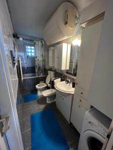 a bathroom with two toilets and a blue rug at Dolce vita Apartment in Senj