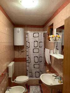 a bathroom with a toilet and a sink at Apartman Nina in Karlobag +82 photos