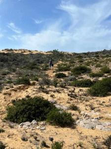 a person and a dog walking in a field at Casa Presente Guesthouse in Carrapateira