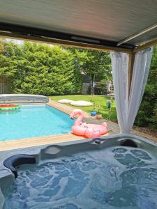 - une piscine avec un radeau gonflable rose dans l'établissement Villa Moya, dependance privée Piscine & Spa, à Châteauneuf-sur-Loire