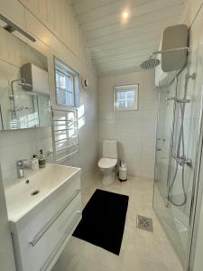 a bathroom with a sink and a shower and a toilet at Lyckan - Minihus i lantlig miljö in Ulricehamn