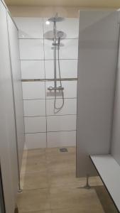 ducha en una habitación con puerta de cristal en Kleines Baumhaus für Zwei, en Nordholz