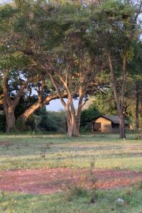 Φωτογραφία από το άλμπουμ του Basecamp Adventure σε Masai Mara