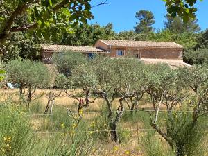 a house in the middle of a field with trees at La Chevalière Sauvage in Tourves