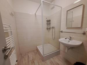 La salle de bains est pourvue d'un lavabo et d'une douche. dans l'établissement Work&Home Stupava, à Stupava