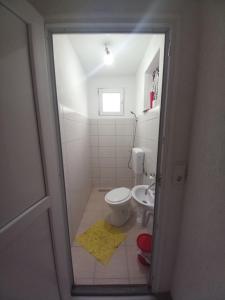 Koupelna v ubytování Apartman Sadba