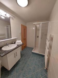 La salle de bains est pourvue d'un lavabo et d'une douche. dans l'établissement Appartements Bodenland, à Wildschönau