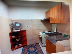 a small kitchen with a stove and a fan at Apartman Turkana 2 in Sarajevo