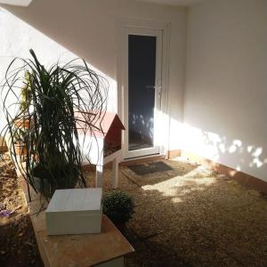 Fotografie z fotogalerie ubytování Carlchens Casa v destinaci Reinhardshagen
