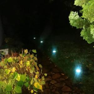 Zahrada ubytování Carlchens Casa
