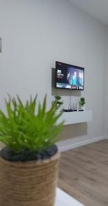 a potted plant sitting in front of a tv at Tranquil Oasis for Two in Tirana