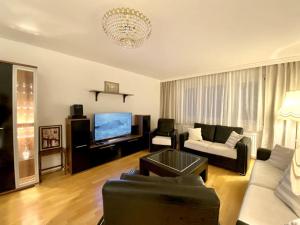 a living room with a couch and a tv at Near VIC Austria Center, 90sqm, 3BR, LR, Kitchen, 6min to VIC, 10min to City U1 in Vienna