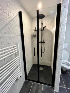 La salle de bains est pourvue d'une cabine de douche et de toilettes. dans l'établissement Borderie de Vérone, à Espiens