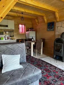 salon z kanapą i kuchenką w obiekcie Etno house Bajka w mieście Žabljak