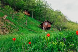 una casa al lado de una colina con flores en Cabana Bombonel en Gura Teghii