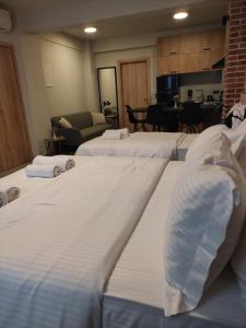 a room with three beds and a living room at Cruzeto in Syvota