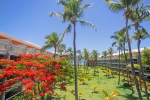 Zahrada ubytování Barceló Bávaro Palace All Inclusive