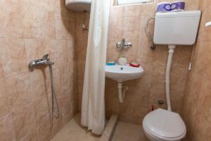 La salle de bains est pourvue de toilettes, d'un lavabo et d'une douche. dans l'établissement La casa de Bašta, à Bajina Bašta