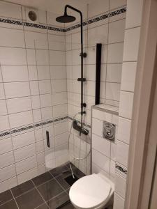 a bathroom with a toilet and a shower at Apartment nearby sentrum in Bergen