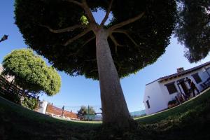Fotografia z galérie ubytovania Casa Los Sombrajitos v destinácii Conil de la Frontera