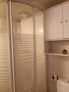 uma cabina de duche em vidro numa casa de banho com WC em Agréable et paisible studio em Franqueville-Saint-Pierre