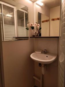 La salle de bains est pourvue d'un lavabo et d'un miroir. dans l'établissement Agréable et paisible studio, à Franqueville-Saint-Pierre