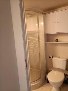 La petite salle de bains est pourvue d'une douche et de toilettes. dans l'établissement Agréable et paisible studio, à Franqueville-Saint-Pierre