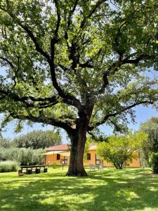 Zahrada ubytování Agriturismo I Tre Fossi