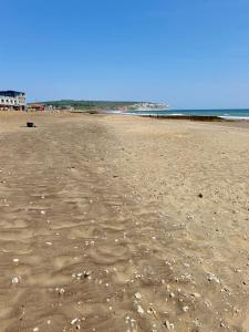 an empty beach with shells on the sand at Hotel Maria in Sandown