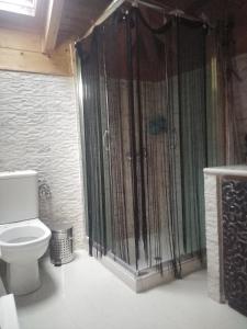 W łazience znajduje się toaleta i przeszklony prysznic. w obiekcie Αρχωντικα στην Τρiχονιδα w mieście Agrinio