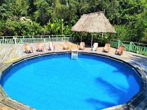 een groot zwembad met stoelen en een rieten parasol bij Maya Mountain Lodge in San Ignacio