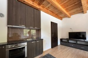 a kitchen with wooden cabinets and a tv in a room at Modra Rijeka Resort in Glavatičevo