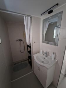ein Badezimmer mit Waschbecken, Dusche und Spiegel in der Unterkunft ZAD Senj Apartman in Senj + 21 Fotos