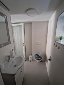 uma casa de banho branca com um WC e um lavatório em ZAD em Senj