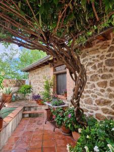 un patio con plantas y un edificio con un árbol en El Atalanto, en Madrigal de la Vera