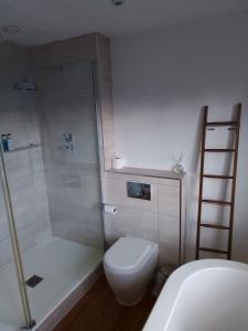 a bathroom with a shower and a toilet and a glass shower at The Horse & Cart in Peasmarsh