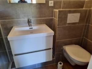 een badkamer met een witte wastafel en een toilet bij Le Grand Hotel in Aups