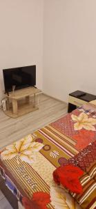 a living room with a television and a bed at Apartament Militari Residence in Roşu