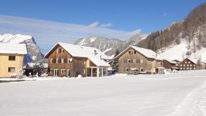 Photo de la galerie de l'établissement Appartement Moosbrugger Haus Elisabeth, à Schoppernau